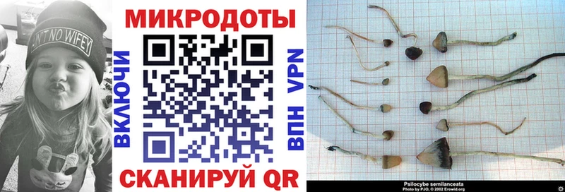 Псилоцибиновые грибы MAGIC MUSHROOMS Свирск